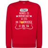 Sudadera JHK 290 gr. Thumbnail