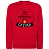 Sudadera JHK 290 gr. Thumbnail