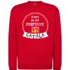 Sudadera JHK 290 gr. Thumbnail